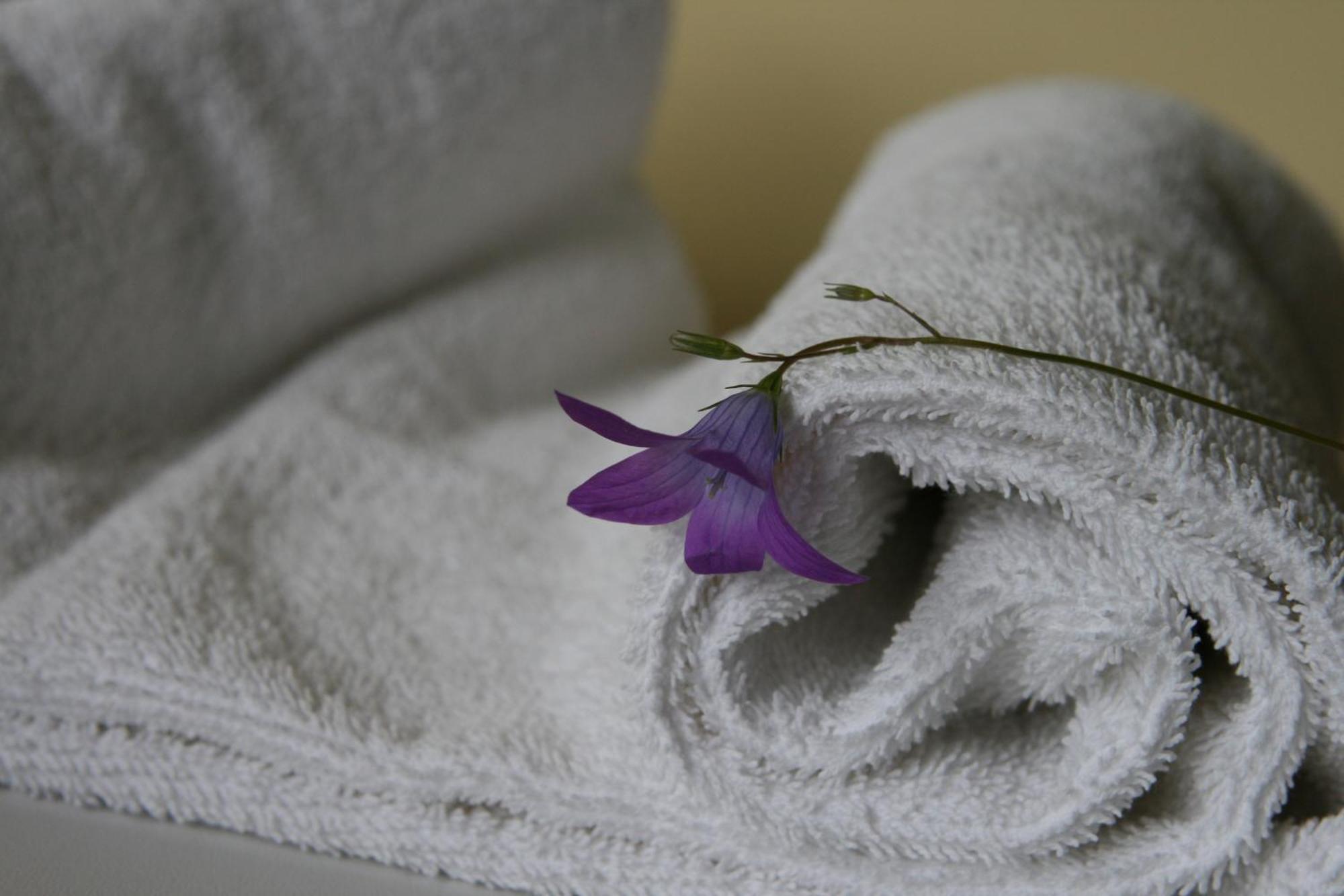 Hotel Audenis Birštonas Pokoj fotografie